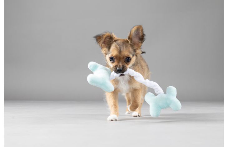 Flamingo Toy Puppy Boban Bone Multiple colours