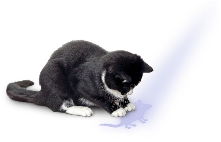 Flamingo Electronic toy Laser Carla  Grey