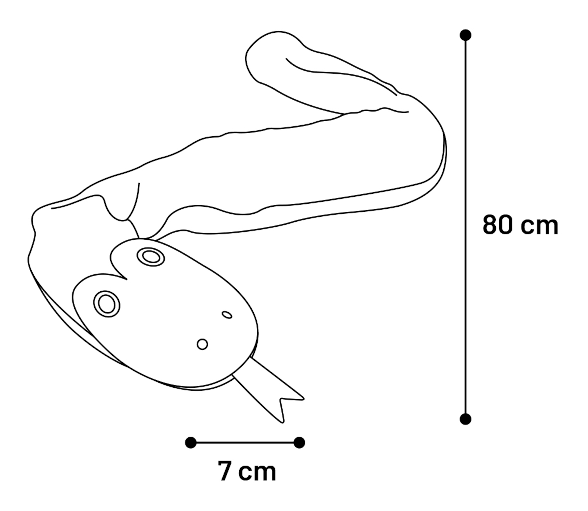 Flamingo Toy Arlo Snake Green