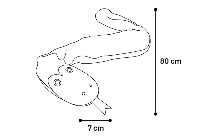 Flamingo Toy Arlo Snake Green
