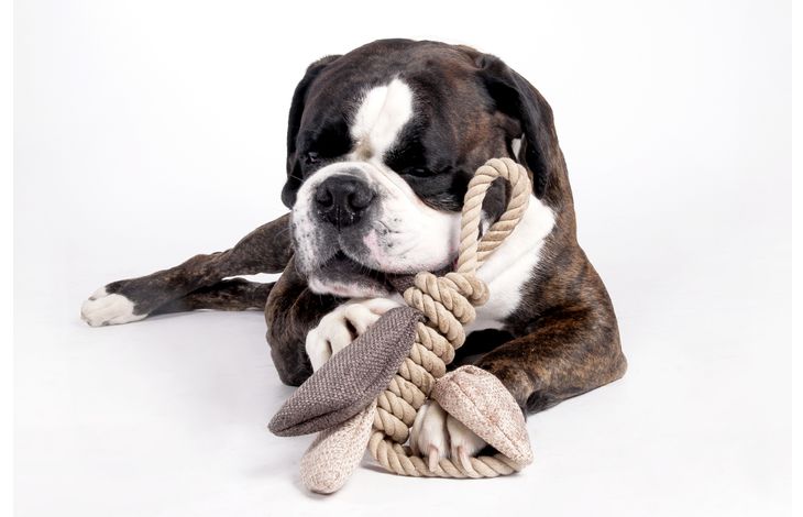 Flamingo Juguete Mason Mariposa con cuerda Beige