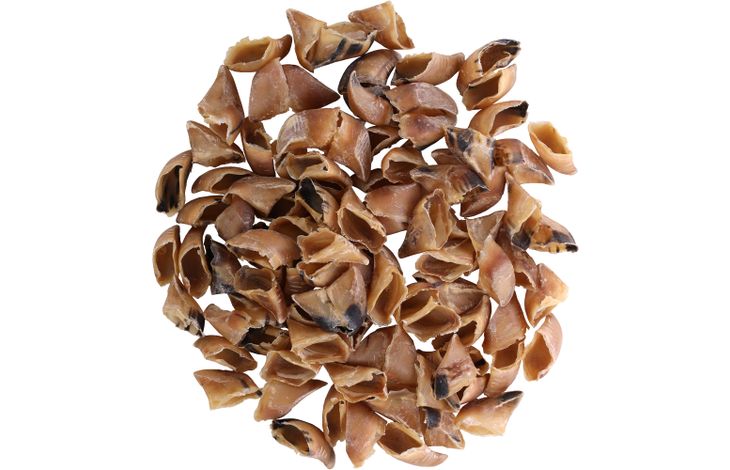 Flamingo Snacks Nature Veal hoof