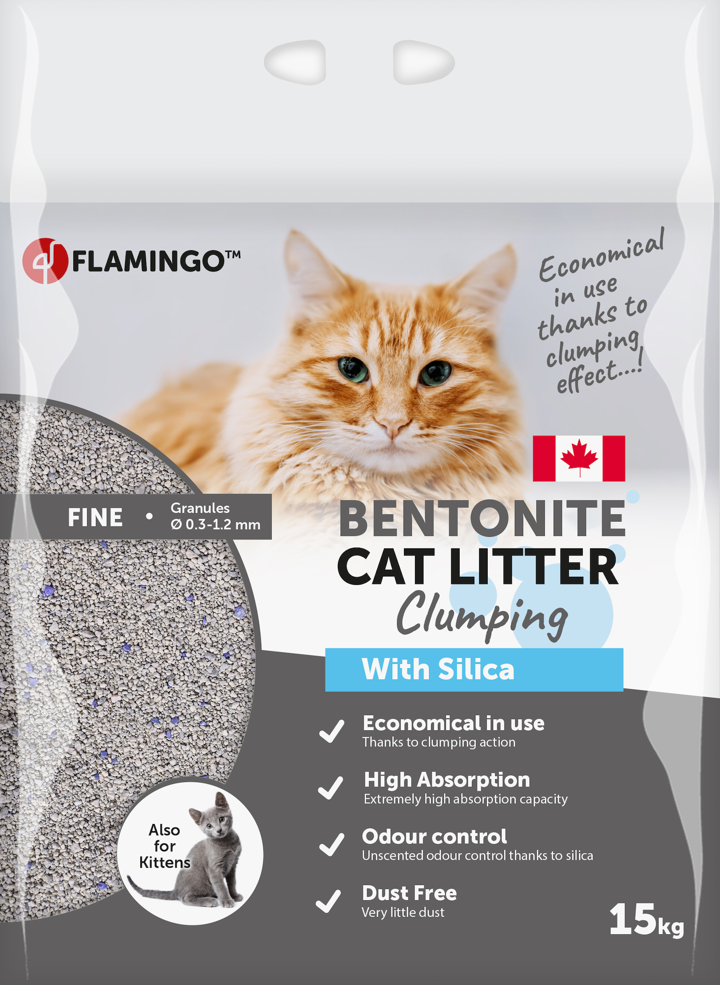 Silica clumping cat outlet litter