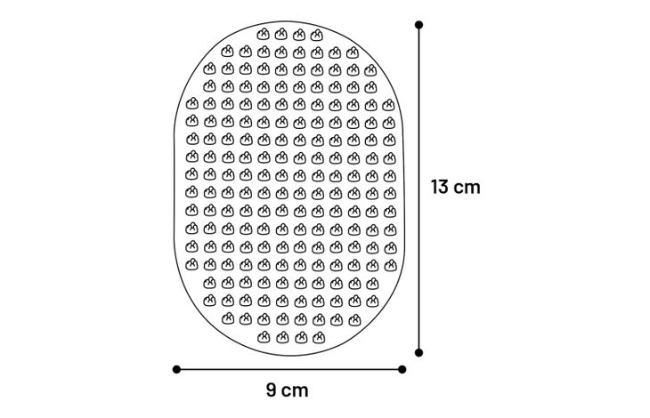 Flamingo Brush Lotus