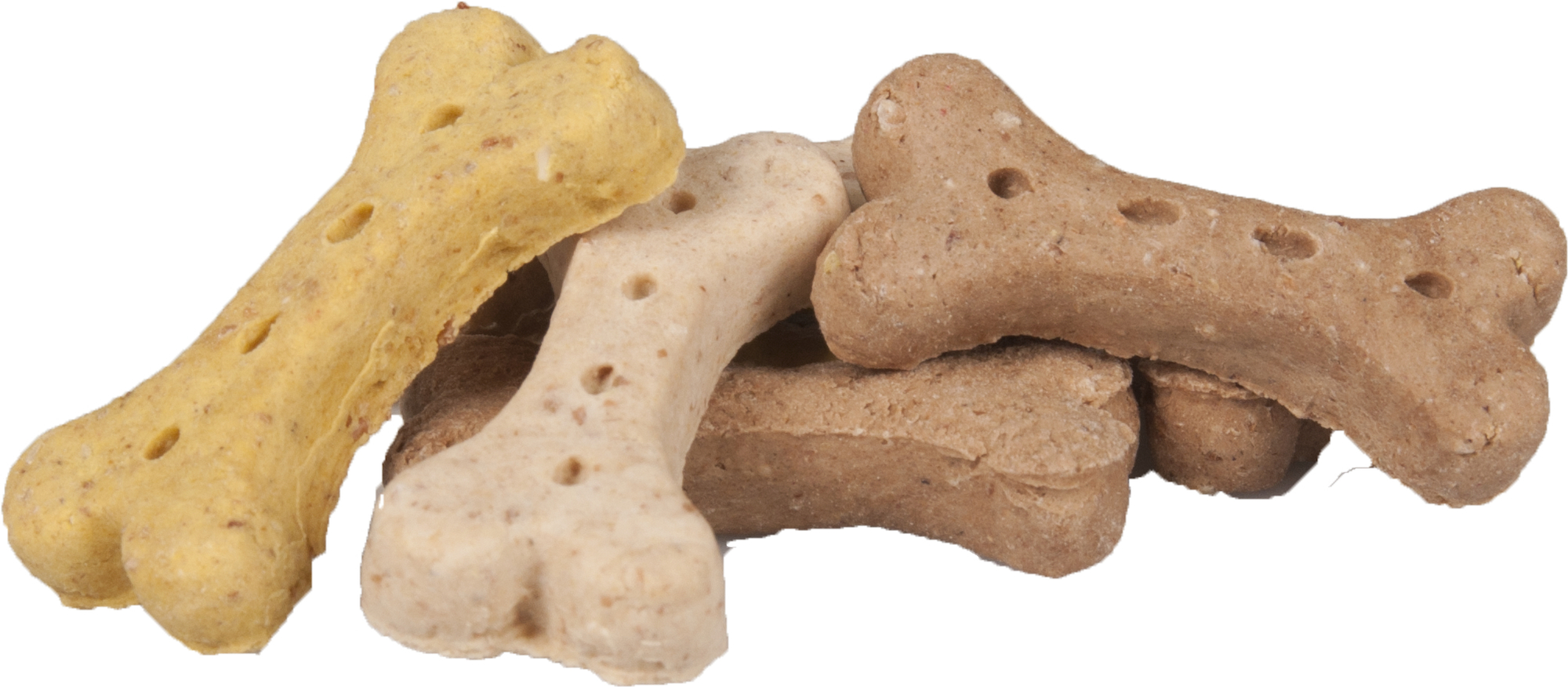 Biscuit and outlet bones