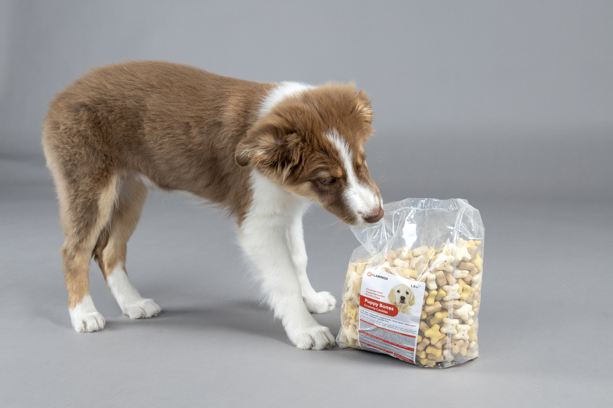 Flamingo Snacks Puppy Biscuit Bones 