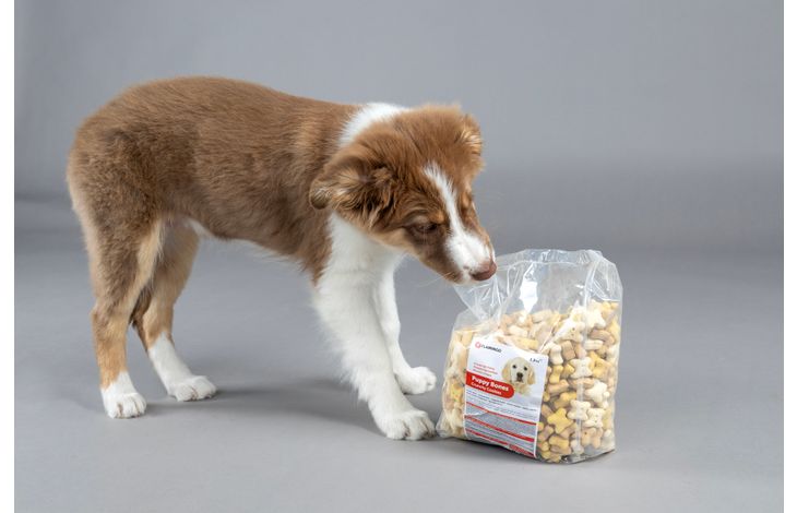 Flamingo Snack Puppy Koekje Bones 
