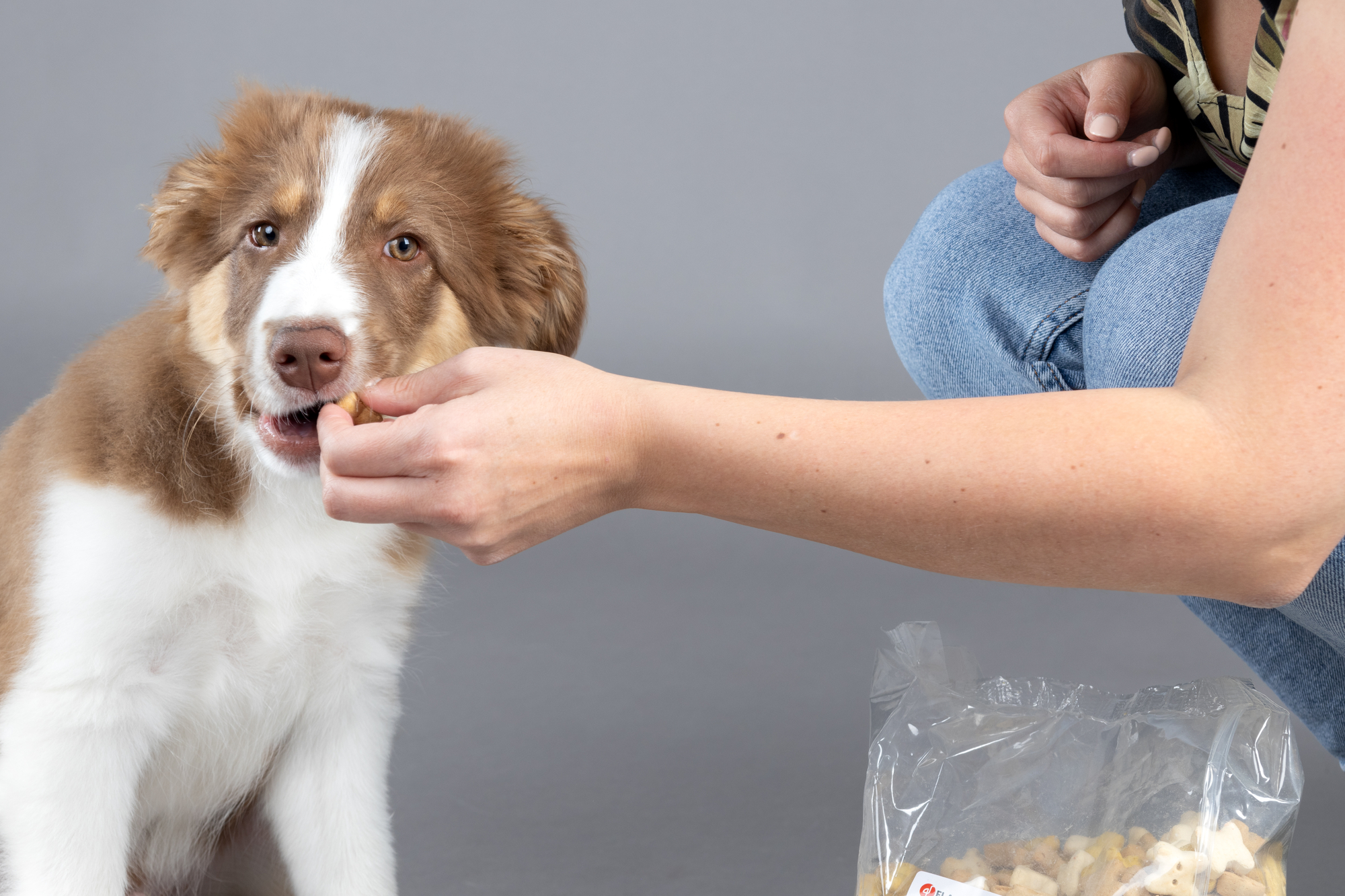 Flamingo Snacks Puppy Biscuit Bones 