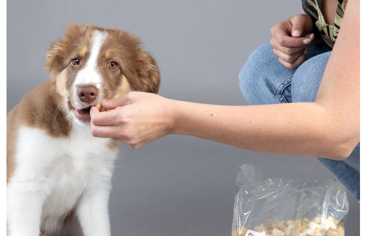 Flamingo Snack Puppy Koekje Bones 