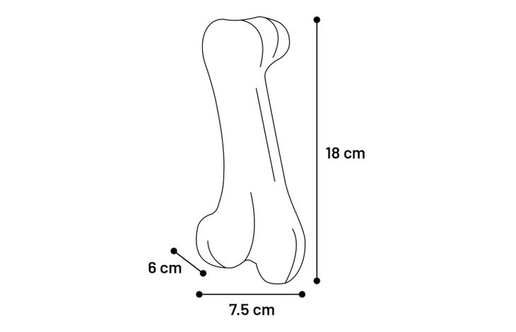 Flamingo Speelgoed Gladiator Been Zwart