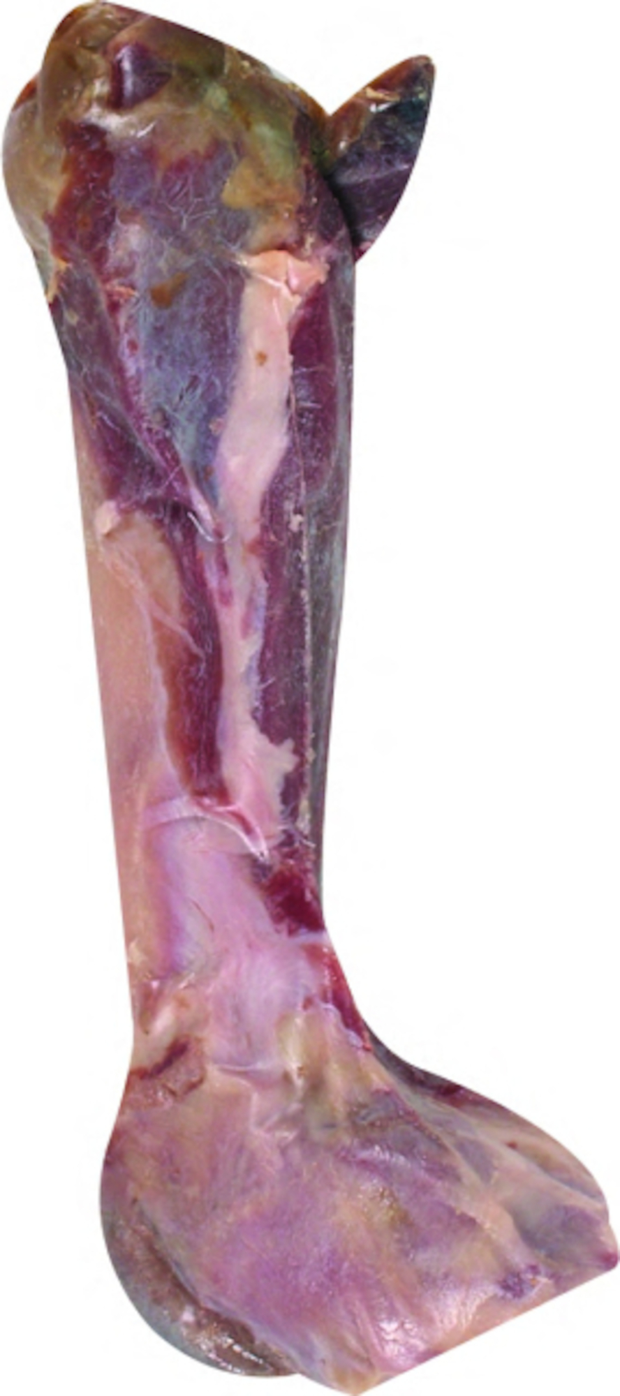 Flamingo Snack Nature Hambeen Kluif