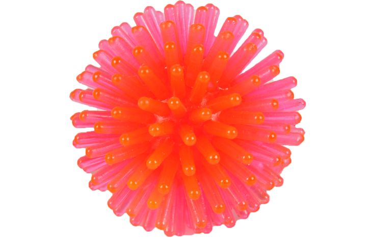 Flamingo Giocattolo Nixon Palla a spillo Colori multipli