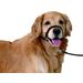 Hoofdhalsband Easy Leader Zwart