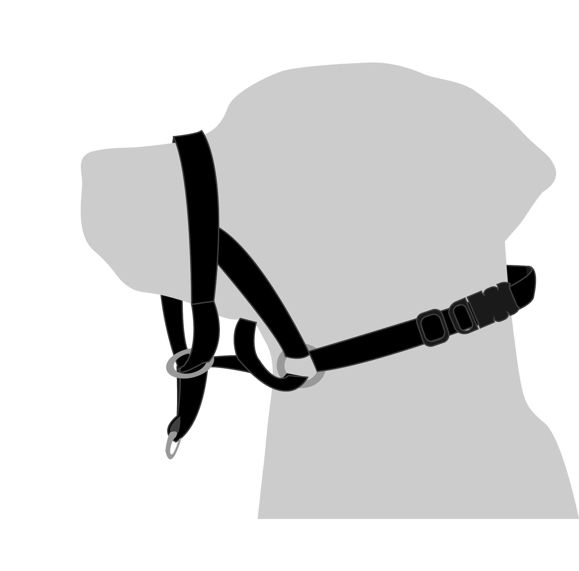 Flamingo Head collar Easy Leader Black