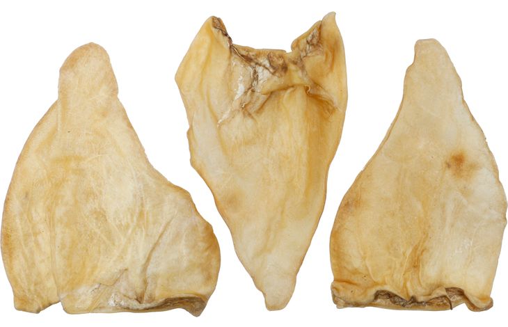 Flamingo Snacks Nature Buffalo ear