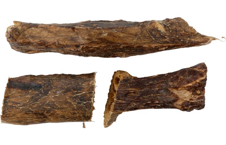 Flamingo Snacks Nature Buffalo lung