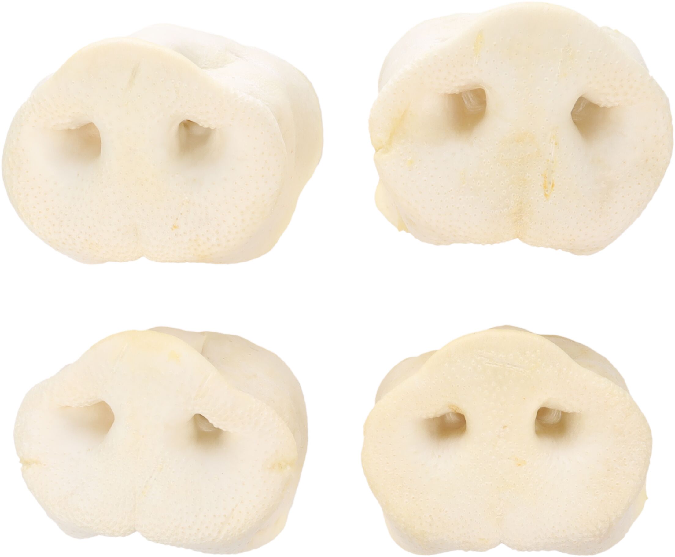 Flamingo Snacks Nature Pig snout