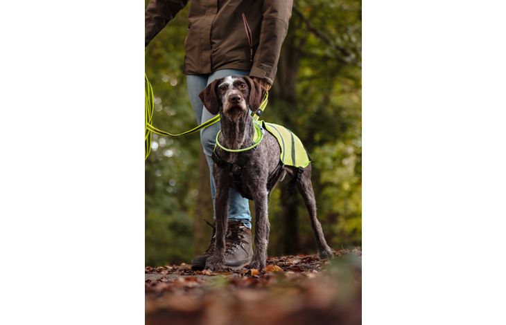 Flamingo Safety vest Wasyl Fluo yellow