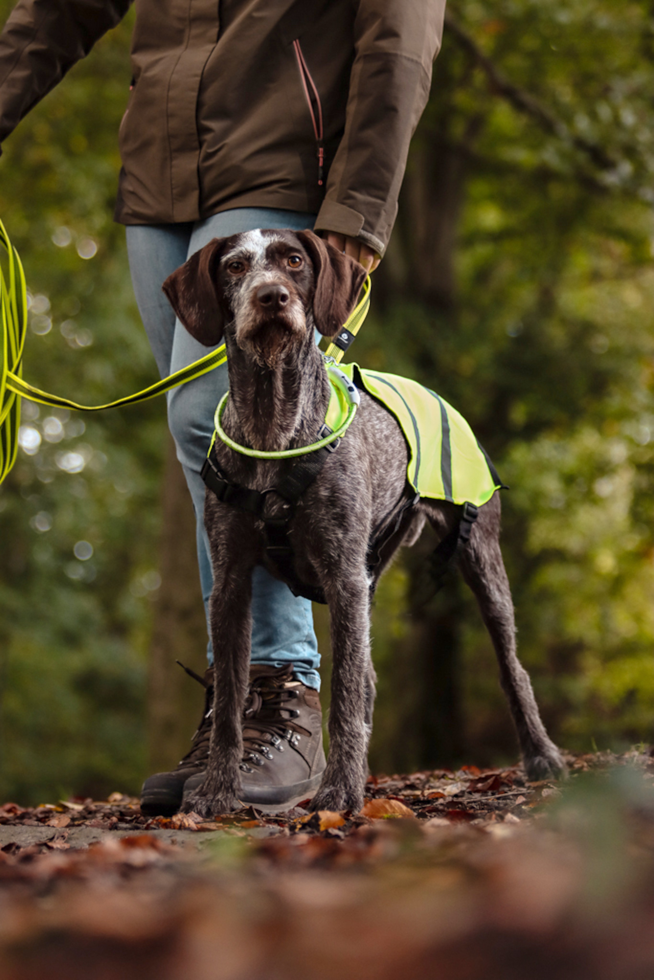 Flamingo Safety vest Wasyl Fluo yellow