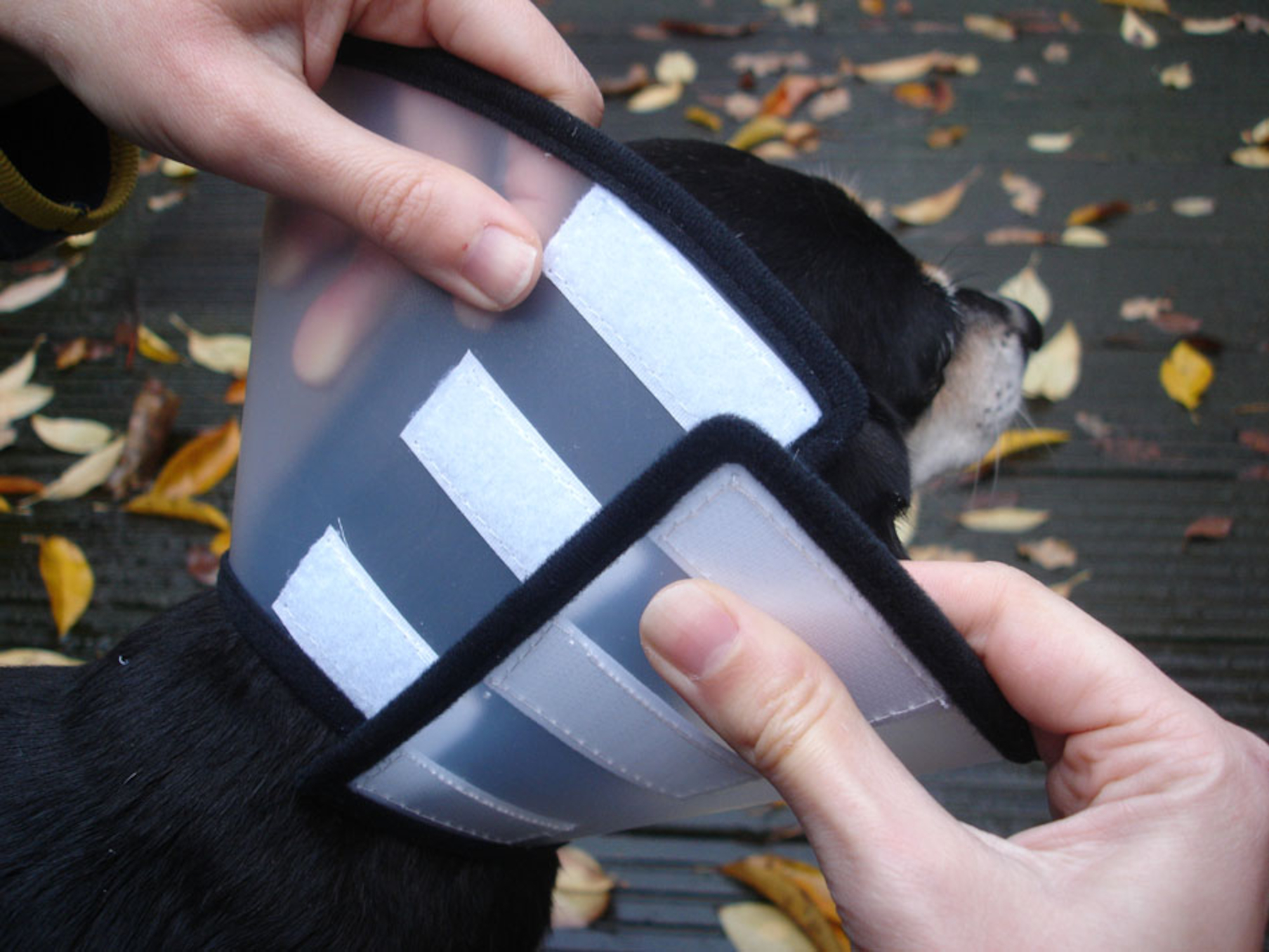 Flamingo Protective cone collar Capo