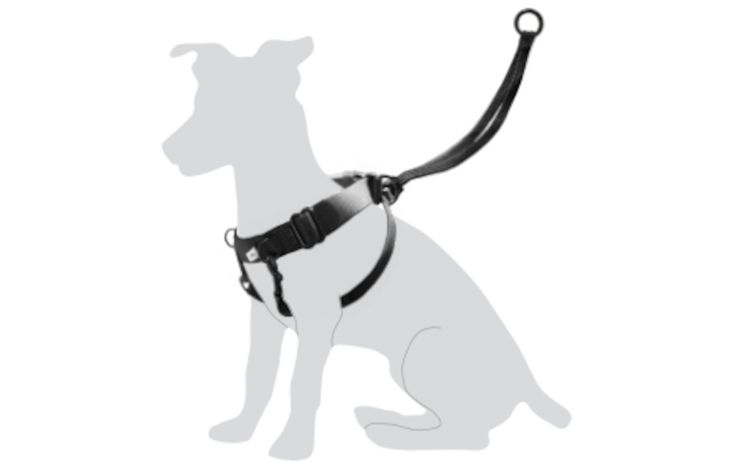 Flamingo Harnas Easy Walker Zwart