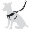 Geschirr Easy Walker Schwarz