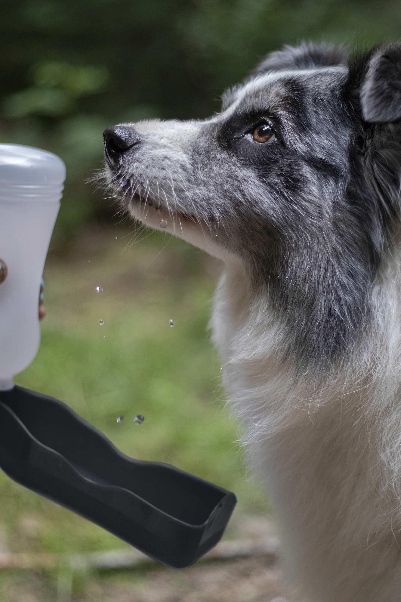 Flamingo Water dispenser Gulliver Classic multiple colours