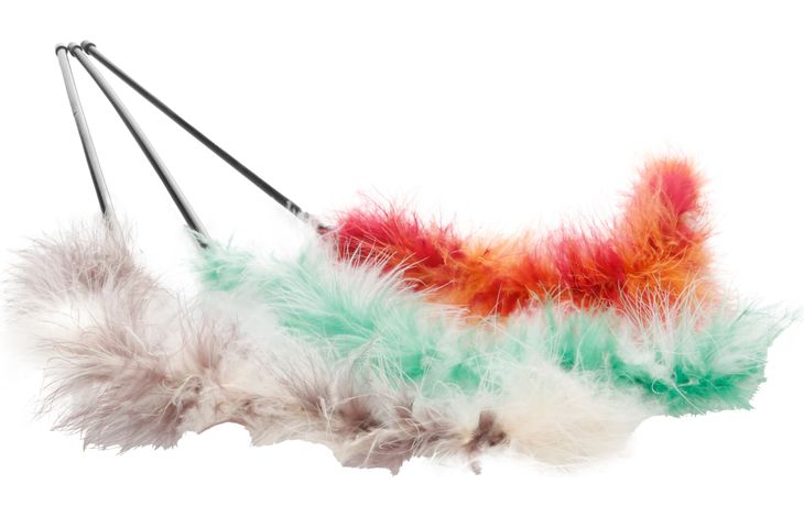 Flamingo Toy Boaz Dangler Boa Multiple colours