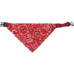 Collar with bandana Pinto Red