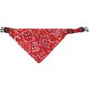 Halsband met bandana Pinto Rood