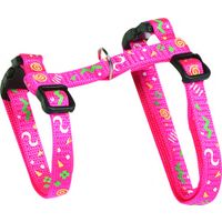 Flamingo Harness with leash Party Multiple colours