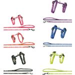 Harness with leash Party Multiple colours