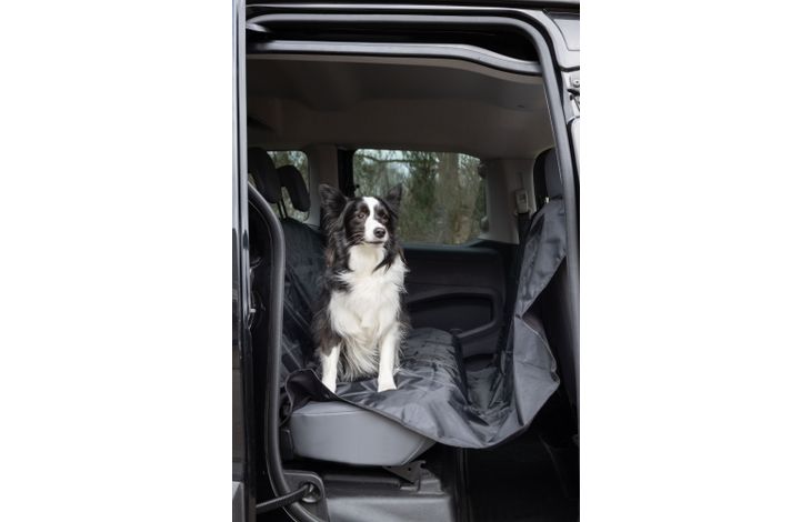 Flamingo Car seat cover Coda Back seat Black