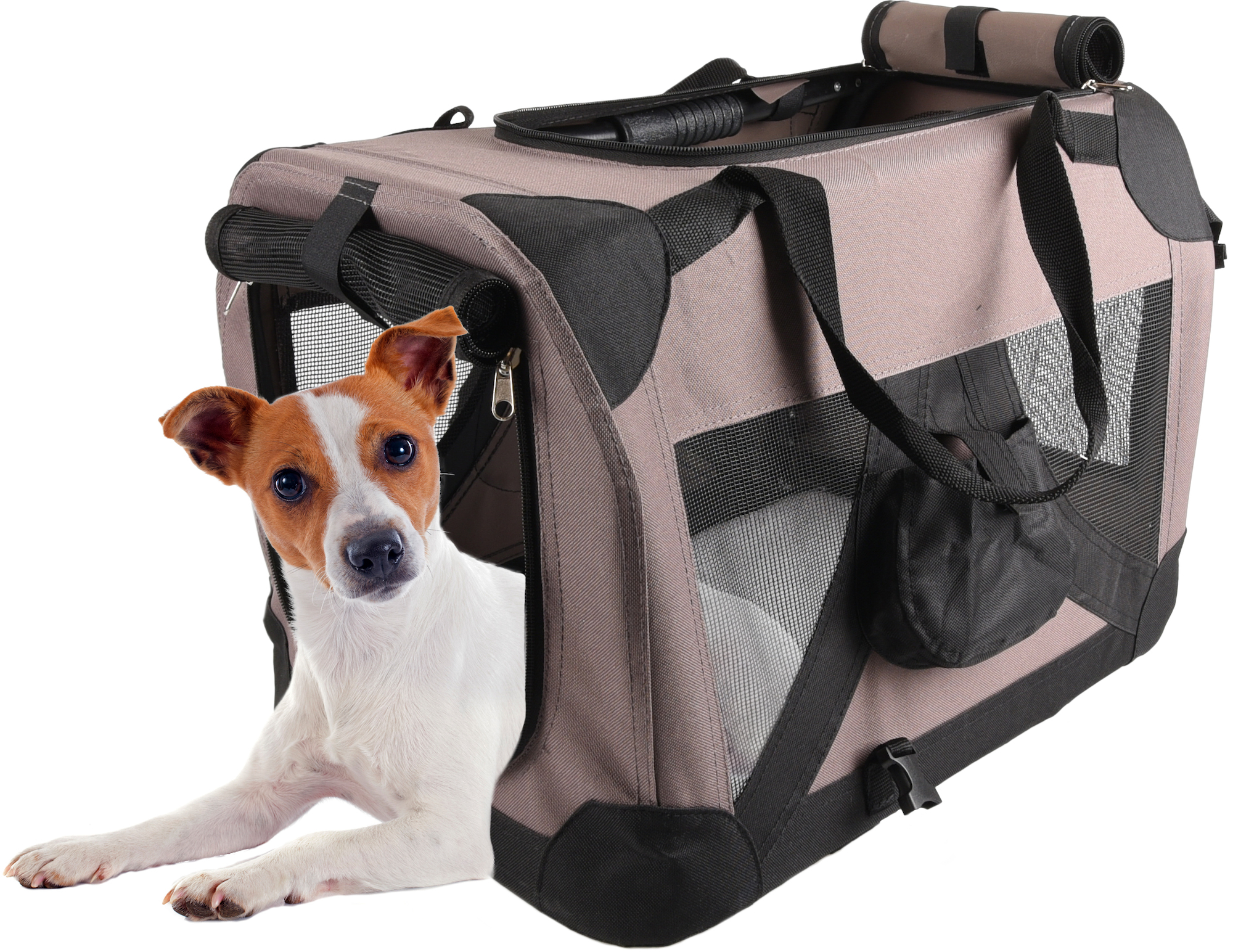 Flamingo Carrying bag Alix Taupe