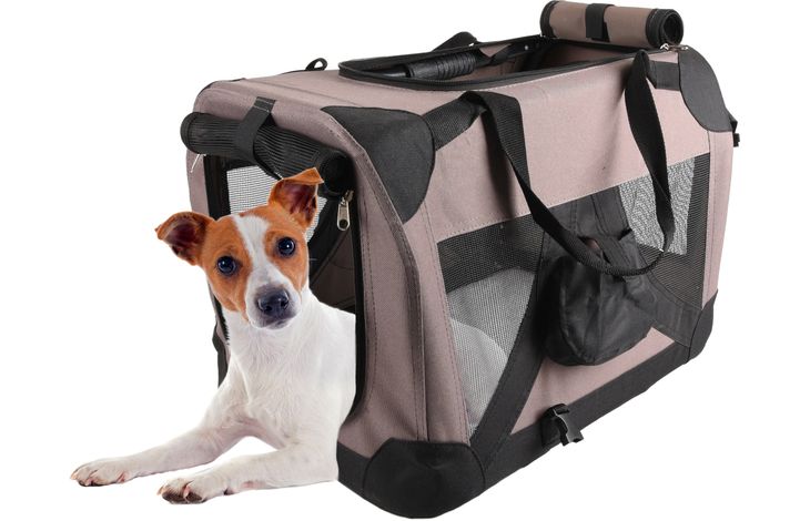 Flamingo Carrying bag Alix Taupe