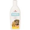 Shampoo Care 300 ml