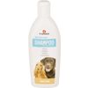 Shampoo Care 300 ml