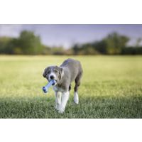 Kong® Kong® Speelgoed Goodie Bone™ Been Meerdere kleuren