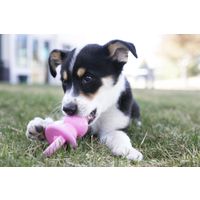 Kong® Kong® Speelgoed Binkie Fopspeen Meerdere kleuren