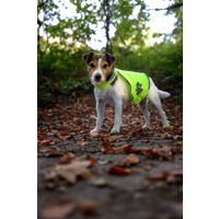 Flamingo Veiligheidsvest Refi Fluo geel