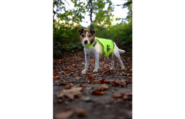 Flamingo Veiligheidsvest Refi Fluo geel
