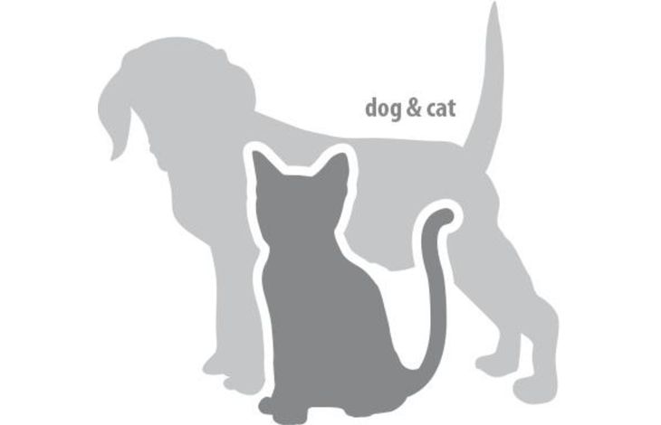 Flamingo Detangling spray Spray