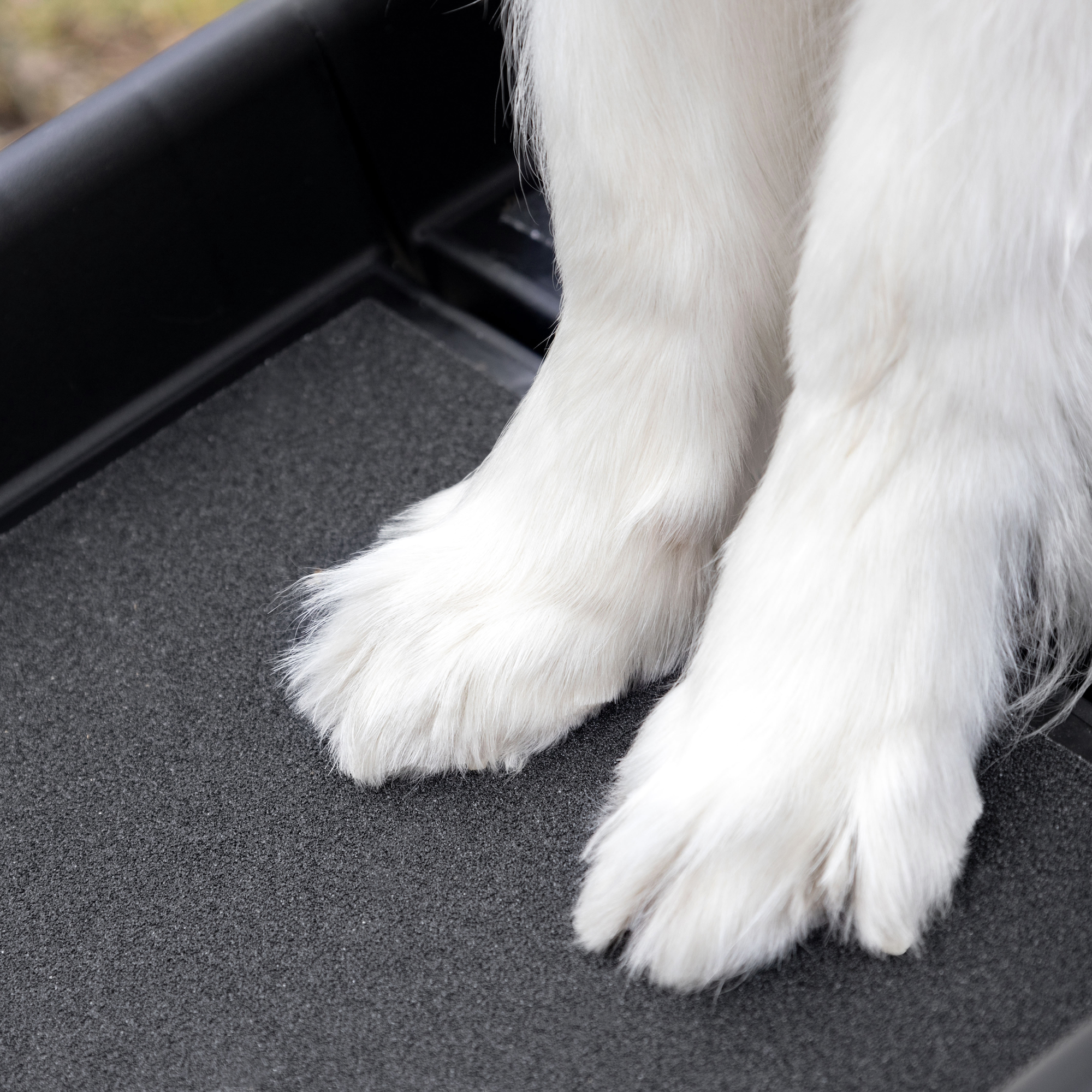 Flamingo Dog ramp Svea Black