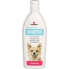 Shampoo Care 300 ml