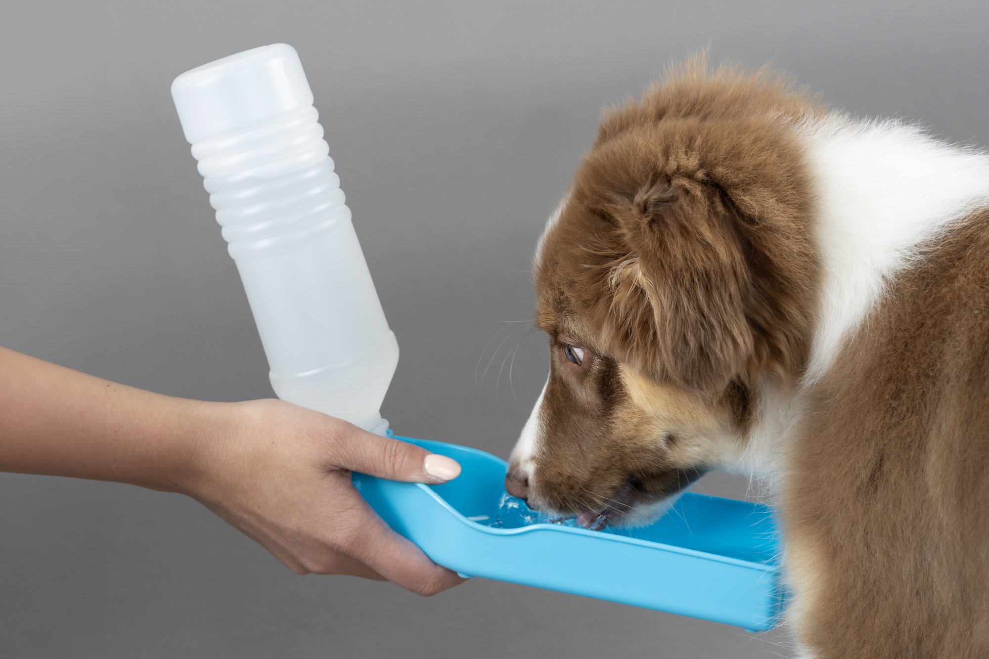 Flamingo Water dispenser Gulliver Hawaï multiple colours