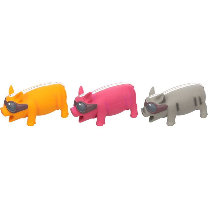 Toy Race Pig Multiple colours | 512557 | Flamingo Pet Products