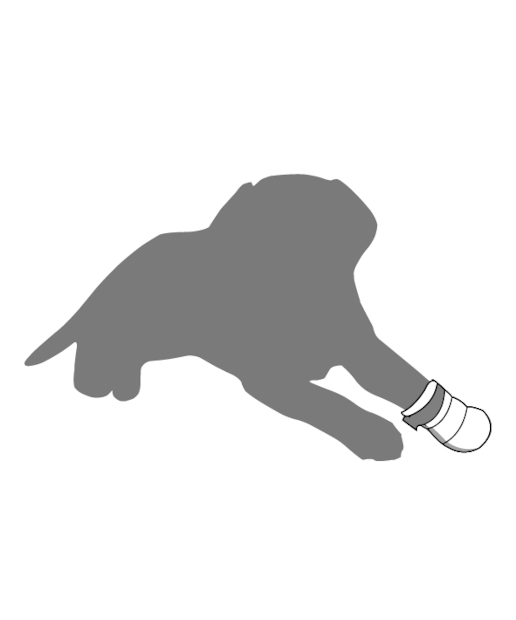 Flamingo Paw protection Clawi