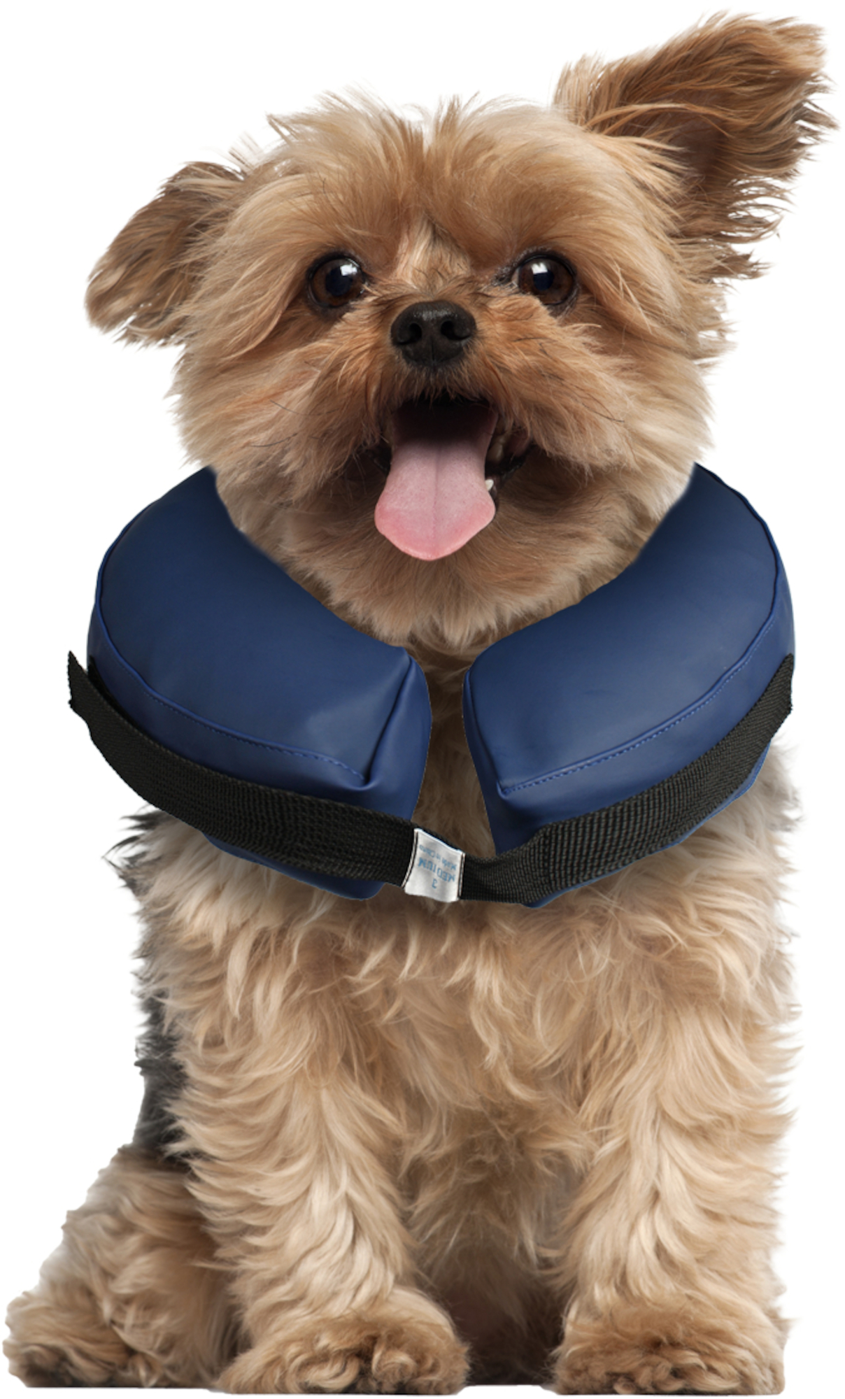 Flamingo Schutzkragen Gofi