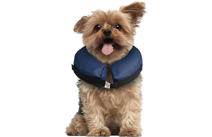 Flamingo Schutzkragen Gofi