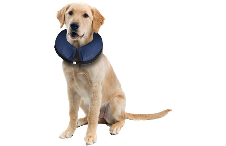 Flamingo Protective collar Gofi